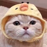 Avatar de Ernesto Bautista