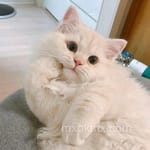 Avatar de Mateo Calleja